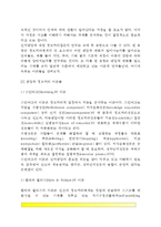 정보처리이론(인지발달에 대한 정보처리접근, 발달적 정보처리이론)-3