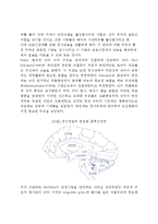 정서에 관한 중추신경계 모형-2