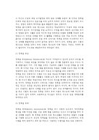 청소년기 자아정체감 발달 - 청소년 자아정체감의 상태, 자아체감 형성의 영향요인-3