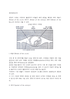 태내발달단계(배종기, 배아기, 태아기)-2