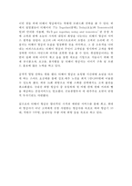 [티웨이항공 마케팅케이스 연구] 티웨이항공 기업분석과 티웨이항공 마케팅 SWOT,STP,4P전략분석및 티웨이 향후시사점연구-8