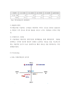 [티웨이항공 마케팅케이스 연구] 티웨이항공 기업분석과 티웨이항공 마케팅 SWOT,STP,4P전략분석및 티웨이 향후시사점연구-10