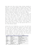 [티웨이항공 마케팅케이스 연구] 티웨이항공 기업분석과 티웨이항공 마케팅 SWOT,STP,4P전략분석및 티웨이 향후시사점연구-11