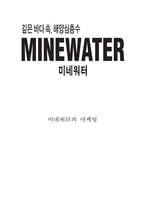 미네워터 제품분석과 SWOT분석,마케팅전략 사례/ 미네워터 문제점과 개선방안제안/ 미네워터 미래마케팅전략 제안-1