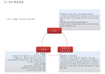 [현대카드 마케팅사례 PPT] 현대카드 기업현황과 경영전략사례, 마케팅(SWOT,STP,4P)분석, 현대카드 향후전략방안-6