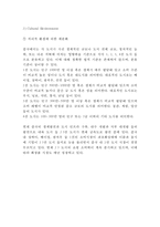 라네즈 중국진출 마케팅케이스 연구 : 아모레퍼시픽 라네즈 브랜드분석과 중국진출 마케팅 SWOT,STP,4P전략분석및 라네즈 미래전략제안-9