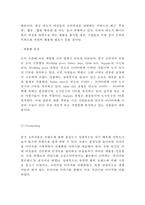 라네즈 중국진출 마케팅케이스 연구 : 아모레퍼시픽 라네즈 브랜드분석과 중국진출 마케팅 SWOT,STP,4P전략분석및 라네즈 미래전략제안-12
