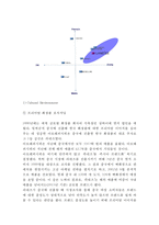 라네즈 중국진출 마케팅케이스 연구 : 아모레퍼시픽 라네즈 브랜드분석과 중국진출 마케팅 SWOT,STP,4P전략분석및 라네즈 미래전략제안-13
