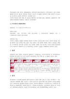 인터넷비지니스모델(E-biz모델, 이비즈니스모델)의 의미, 의의-10