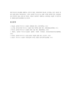 인터넷비지니스모델(E-biz모델, 이비즈니스모델)의 의미, 의의-12