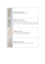 근골격계 간호 레포트-6