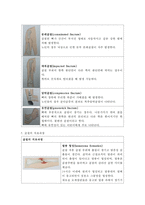근골격계 간호 레포트-7