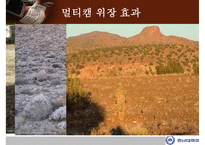 전투복의 과거, 현재, 미래에 대한 PPT-11
