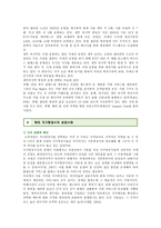 저가항공사의 마케팅 방법 ; 저가항공사의 특성과 발전방향 분석-8