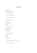 [A+] 처음처럼 브랜드현황분석, 처음처럼 마케팅전략분석과 성공요인, 처음처럼 미래전략제안-2