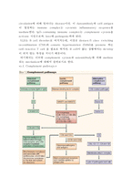[자가 면역 질환] 자가면역질환의 발생기전 및 조절 기술 - 자가 면역 질환 개념, 자가 면역 질환 연구, Rheumatoid arthritis, Rheumatoid arthritis 치료, 자가 면역질환의 연구과정-13