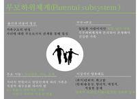 [가족아동학과] 구조적 가족치료 - 구조적 가족치료 발달 배경, 구조적 가족치료 개념, 구조적 가족치료 특징, 구조적 가족치료 이론 분석, 사례 적용-11