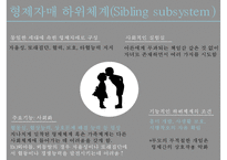 [가족아동학과] 구조적 가족치료 - 구조적 가족치료 발달 배경, 구조적 가족치료 개념, 구조적 가족치료 특징, 구조적 가족치료 이론 분석, 사례 적용-13
