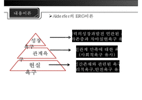 [미시적 조직관리] 동기이론, 내용이론, 과정이론 분석 및 리더십에 대한 접근방법(특성론적 접근방법, 행동론적 접근방법, 상황론적 접근방법)-11