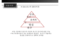 [미시적 조직관리] 동기이론, 내용이론, 과정이론 분석 및 리더십에 대한 접근방법(특성론적 접근방법, 행동론적 접근방법, 상황론적 접근방법)-13