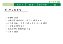 [청소년 문화] 청소년의 패션 유행 분석 및 청소년의 유행을 통해 살펴본 청소년의 심리와 청소년의 특징 레포트-5