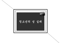 [청소년 성교육 방안] 청소년 성교육의 필요성과 학교 성교육의 문제점 및 사회적 문제점과 성교육 인터뷰, 학교사회복지 방안-3