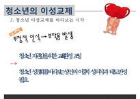 [청소년 성교육 방안] 청소년 성교육의 필요성과 학교 성교육의 문제점 및 사회적 문제점과 성교육 인터뷰, 학교사회복지 방안-20