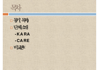 [NGO기관] NGO기관 동물보호단체인 KARA와 CARE 사업분석, 기관분석, 각 기관 비교 분석 등-2