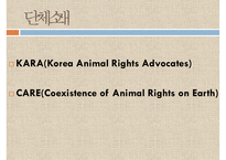 [NGO기관] NGO기관 동물보호단체인 KARA와 CARE 사업분석, 기관분석, 각 기관 비교 분석 등-5