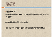 [NGO기관] NGO기관 동물보호단체인 KARA와 CARE 사업분석, 기관분석, 각 기관 비교 분석 등-8