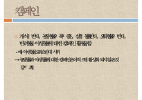 [NGO기관] NGO기관 동물보호단체인 KARA와 CARE 사업분석, 기관분석, 각 기관 비교 분석 등-13