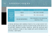 [PPT][장애인 연금법 정책 분석] 장애인 연금법 목적, 장애인 연금법 특징, 장애인 연금법 정책결정과정, 정책 결정과정 특징, 장애인 연금법 전망-12