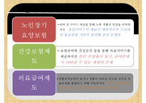[노인건강] 노년기 질환의 종류, 질병의 원인, 노인 질병의 특징, 노인 건강관련 국가 정책 및 효과와 문제점 및 개선방안ppt-17