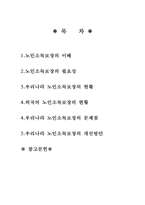 [노인의 소득보장정책] 노인소득보장의 이해, 노인의 소득보장정책 필요성, 노인의 소득보장정책 현황, 외국 노인의 소득보장정책, 노인의 소득보장정책 문제점, 노인의 소득보장정책 개선방안-2