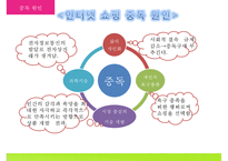 [인터넷 쇼핑 중독 해결방안] 인터넷 쇼핑 중독 개념, 인터넷 쇼핑 중독 원인, 인터넷 쇼핑 중독 특징, 인터넷 쇼핑 중독 사례, 인터넷 쇼핑 중독 예방법-5