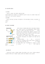 [세종시정책 평가] 세종시 정책 전개과정,정책사례개요, 세종시 정책 분석, 세종시 정책의제 설정, 정책 산출 과정, 정책 산출 모든 것-12