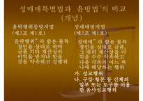 [정책학개론](성매매특별법 정책 분석) 정책의 형성 과정, 정책의 집행, 정책 평가, 정책 견해ppt-4