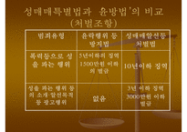 [정책학개론](성매매특별법 정책 분석) 정책의 형성 과정, 정책의 집행, 정책 평가, 정책 견해ppt-5