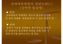 [정책학개론](성매매특별법 정책 분석) 정책의 형성 과정, 정책의 집행, 정책 평가, 정책 견해ppt-6