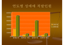 [정책학개론](성매매특별법 정책 분석) 정책의 형성 과정, 정책의 집행, 정책 평가, 정책 견해ppt-10