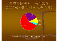 [정책학개론](성매매특별법 정책 분석) 정책의 형성 과정, 정책의 집행, 정책 평가, 정책 견해ppt-12