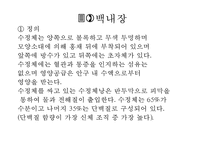 [노인성 질환-음악치료 적용] 노인 질환 - 노인성 질환 개념, 노인성 질환 종류, 노인질환 원인, 노인성 질환 증상, 노인성 질환 치료법, 노인성 질환 음악 치료 적용pptx-9