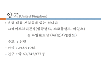 영국지역사회간호, 영국간호, 영국간호역사, 나이팅게일, 영국의 간호제도, 영국과한국간호비교-3