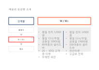 [애슐리 마케팅전략 PPT] Ashley 애슐리 기업현황과 성공요인분석/ 애슐리 마케팅 SWOT,STP,4P전략분석/ 애슐리 미래전략방안-12