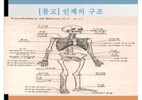 영유아 마사지 방법과 테크닉-14
