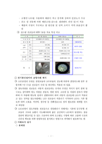 전동차 전조등 LED조명 도입 사업계획서-3