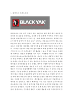 블랙야크 브랜드분석과 SWOT분석/ 블랙야크 마케팅,경영전략사례/ 블랙야크 미래 마케팅전략 제안-3