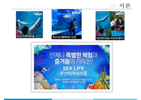 부산 아쿠아리움 테마파크 Sea Life 마케팅전략-4