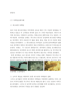피자헛 마케팅케이스 연구 : 피자헛 기업현황과 성공요인/ 피자헛 마케팅 4P,STP,SWOT분석/ 피자헛 새로운 마케팅전략 제안-9