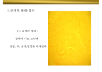 금색의미와 상징 GOLD 색채컬러색깔나라별 선호 광고마케팅 사례-4